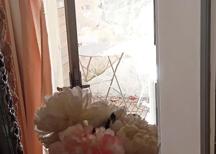 Cosy Rue Haguenot Proche Arceaux Appartement