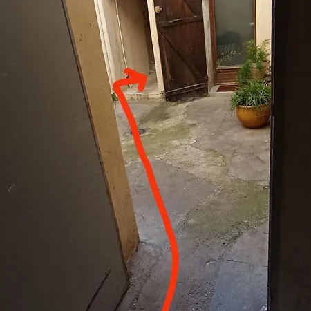 Apartamento Cosy Rue Haguenot Proche Arceaux Montpellier